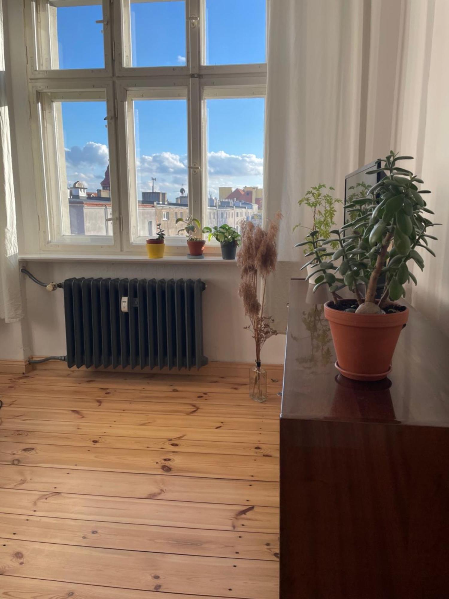 Sentymenty - Apartamenty W Kamienicy Na Mickiewicza Stary Toruń Exterior foto